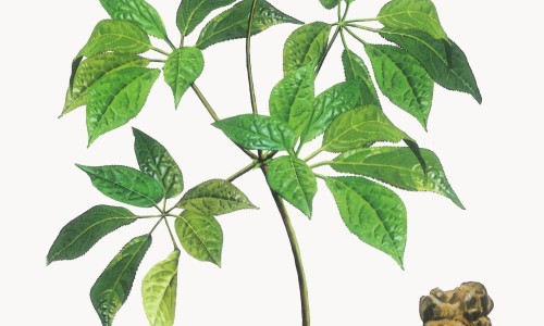 我三十岁脸上突然长了很多斑-30岁脸上最近突然长斑为什么网—知名的30岁脸上最近突然长斑为什么呢网站,分享30岁脸上有斑怎么办知识