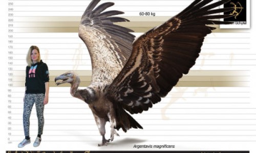 30岁脸上最近突然长斑为什么网—知名的30岁脸上最近突然长斑为什么呢网站,分享30岁脸上有斑怎么办知识